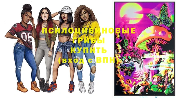 бутират Медвежьегорск