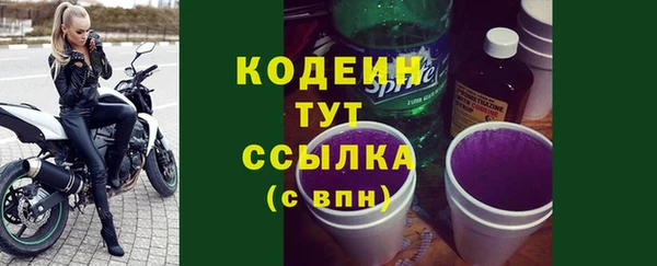 крисы Мегион