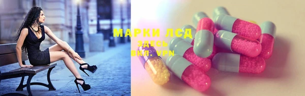 стафф Михайлов