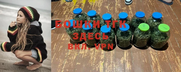 крисы Медногорск