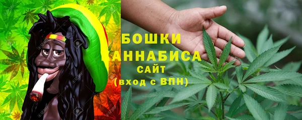 стафф Михайлов