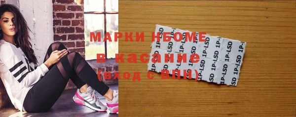 крисы Мегион