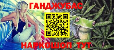 крисы Бийск