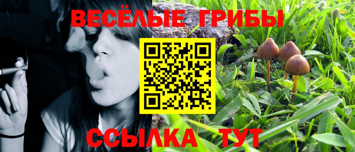 Галлюциногенные грибы мицелий  Вход с VPN  Галлюциногенные грибы прущие грибы  Златоуст 